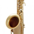 Selmer STS411 Tenor Saxophone